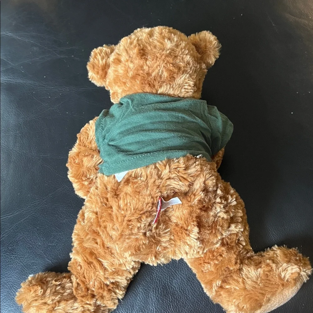 L.L. Bean Plush Douglas Bear with Forest Green Shirt